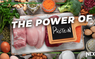 The Power of Protein